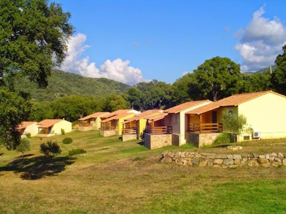 Maison Au Calme Avec Piscine Et Climatisation Sollacaro Bagian luar foto