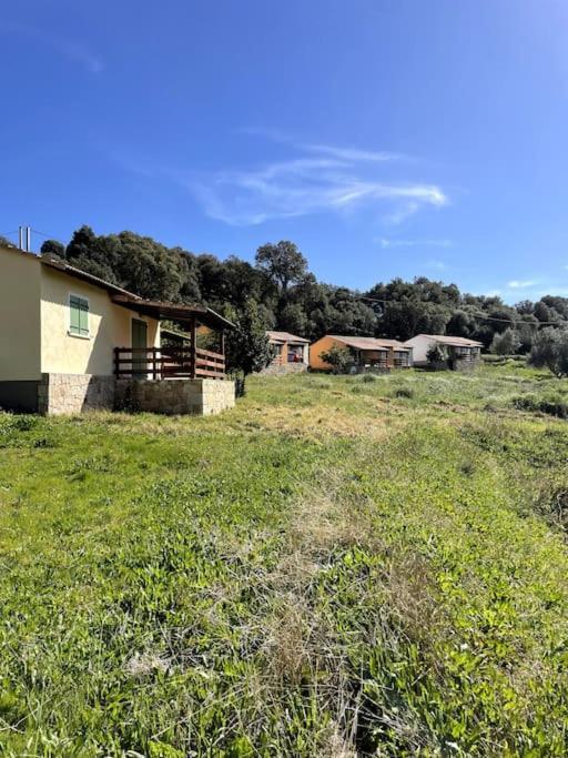 Maison Au Calme Avec Piscine Et Climatisation Sollacaro Bagian luar foto