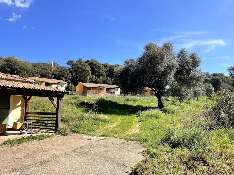 Maison Au Calme Avec Piscine Et Climatisation Sollacaro Bagian luar foto